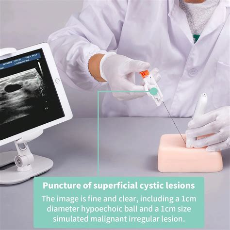 Ultrasonic-Puncture-Phantom-Superficial-Lymph-Node-biopsy-Small-Lesion-Localization-Practice-Kit ...