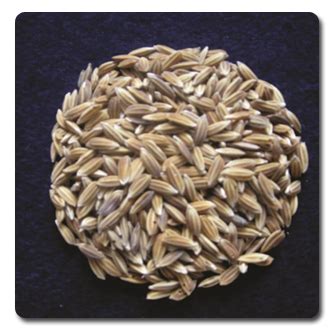 TNAU Agritech Portal :: Indigenous Farming