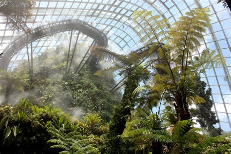 Cloud Forest, singapore, Singapore - Top Attractions, Things to Do ...