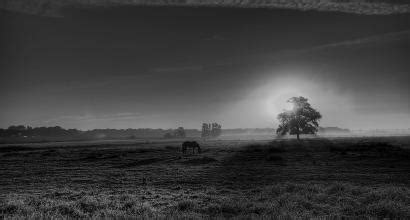 Musings on Indian Aesthetics: Contributions of Masters | Prekshaa