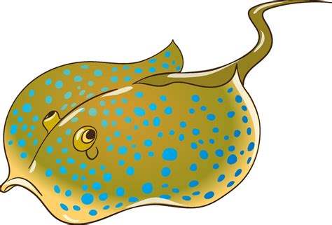 Premium Vector | Stingray Underwater Animal Illustration Vector – Free ...