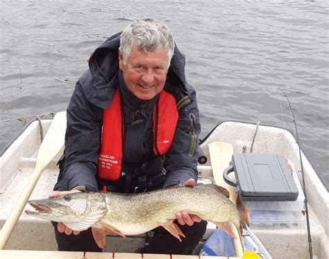 Image result for Angelkoder Schweden Hecht