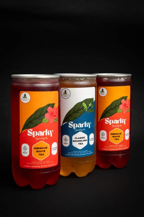 Syang | Sparkling Tea & Kombucha with a Bold Twist – Syang's