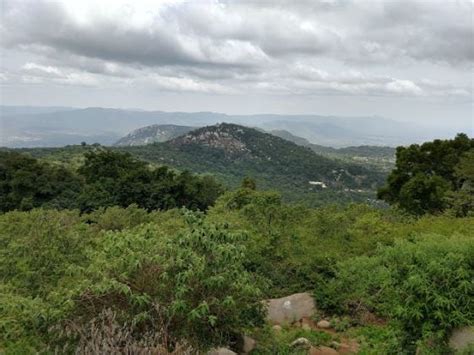 Swamimalai Hills | Yelagiri - What to Expect | Timings | Tips - Trip ...