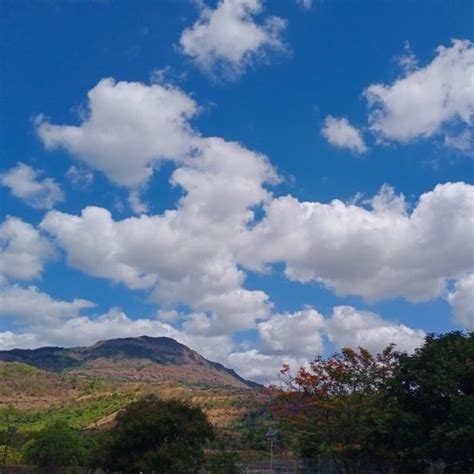 Re-Life Naturopathy Center