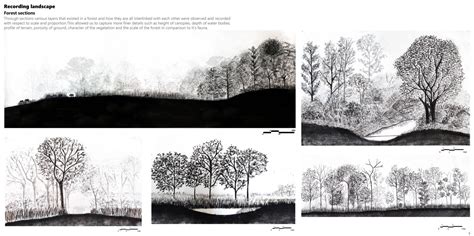 The diverse roles of reeds | CEPT - Portfolio