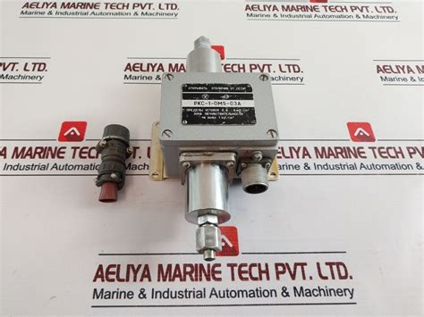 Rks-1-om5-03A 0,6...6 Kgf/Cm2 Pressure Difference Relay Sensor – Aeliya ...