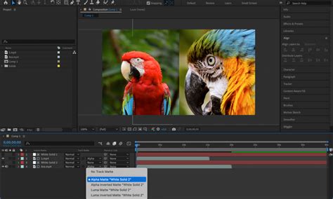 Image result for After Effects Matte Compositing Tutorial
