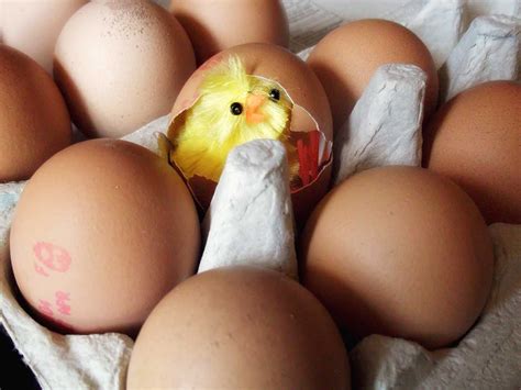 Image result for Decrypt BitLocker