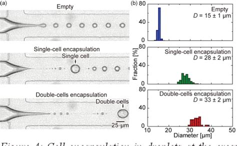 Image result for Microfludics Cell Encapsulation