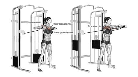 14 Best Cable Chest Exercises and Workout Routine