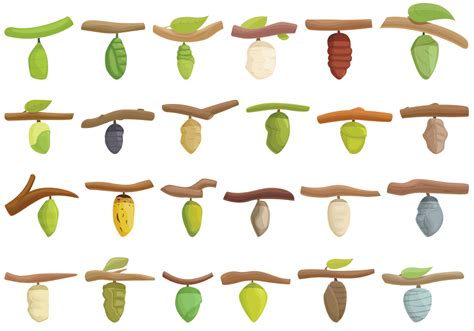 Cocoon icons set cartoon vector. Butterfly chrysalis 12407346 Vector ...