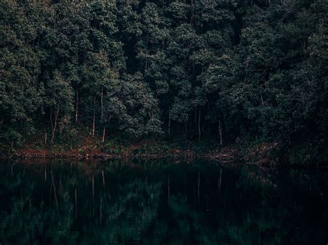 Download wallpaper 1600x1200 lake, trees, forest, reflection, begnas ...