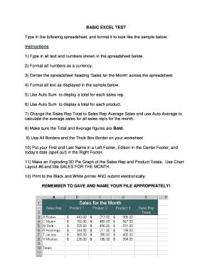 Image result for Free Basic Excel Test