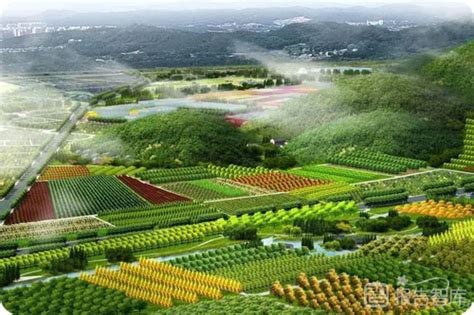 超大绿色生态产业链-超大现代农业集团