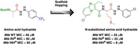 Identification of Substituted Amino Acid Hydrazides as Novel Anti ...