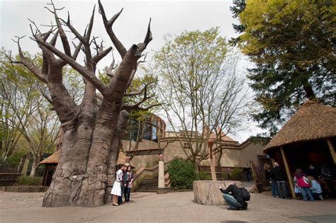 ZooLex Image - Predators of the Serengeti Plaza