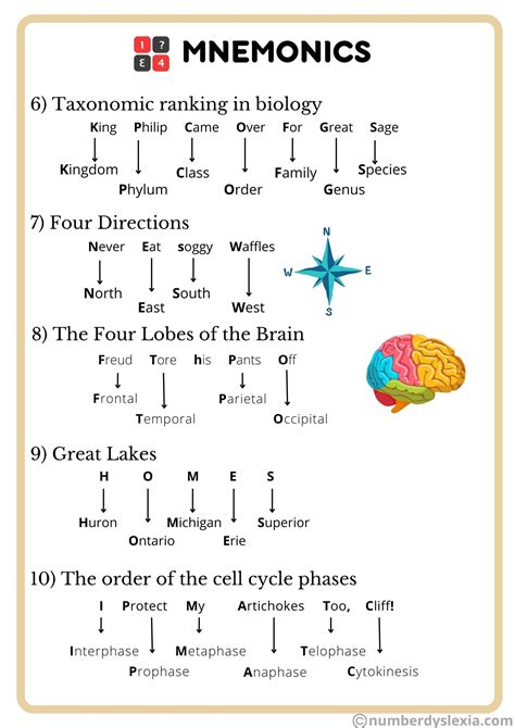 Mnemonic Strategies In Education - Career Education