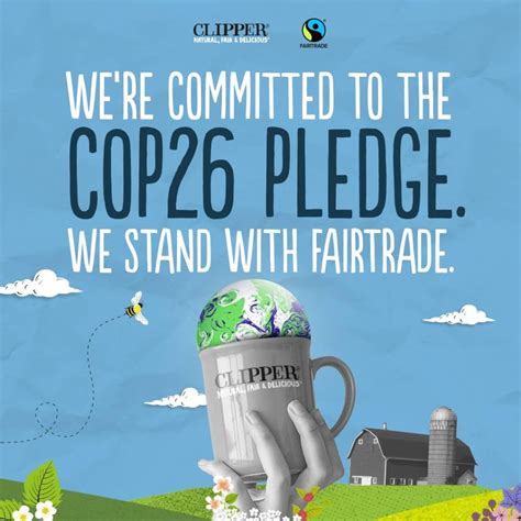 Clipper Organic Restoring Roots Ginger & Turmeric Tea Bags Review | Tea ...