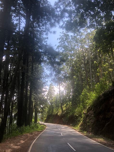 DIYATHALAWA HOLIDAY BUNGALOW - Cottage Reviews & Photos - Tripadvisor