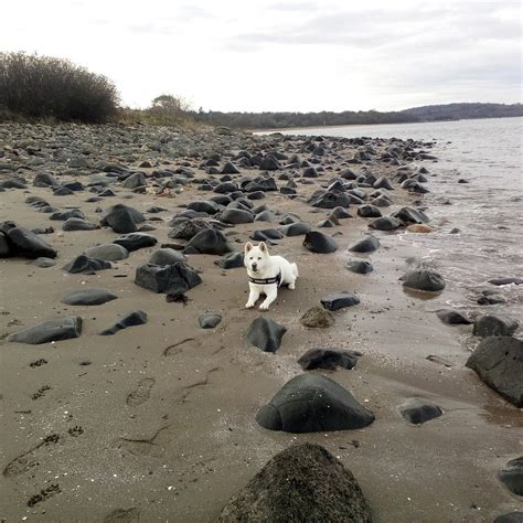 SILVERKNOWES BEACH (2026) All You Need to Know BEFORE You Go (with ...