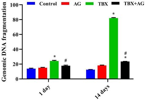 The Ameliorative Role of Acacia senegal Gum against the Oxidative ...
