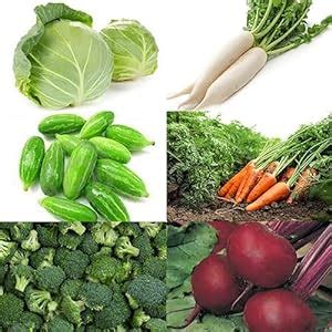 F1 seeds hybrid vegetables winter season,(pack of 150) 6 varieties ...