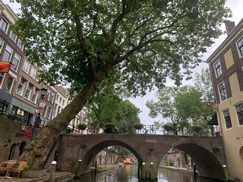 Varen in Utrecht - All You Need to Know BEFORE You Go