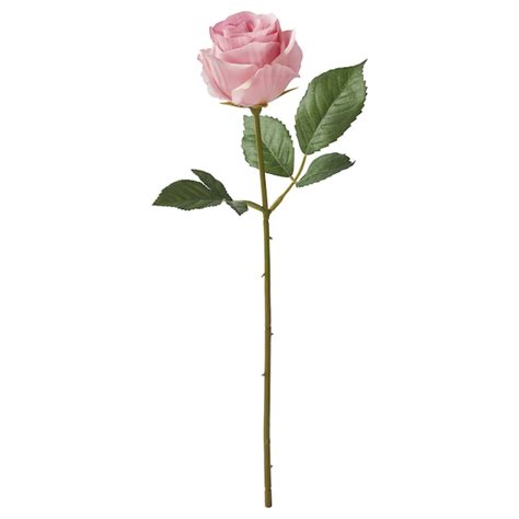 SMYCKA artificial flower, in/outdoor/Rose pink, 40 cm (15 ¾") - IKEA
