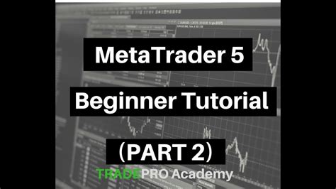 Video Tutorial On Using MT5 On PC 的图像结果