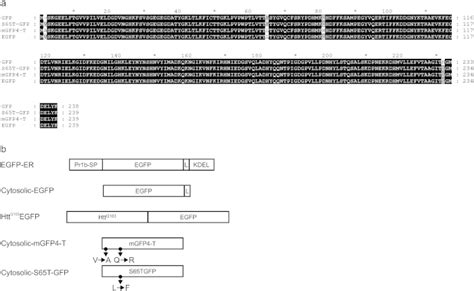 Image result for G3P Image Converter