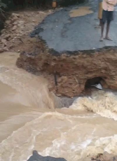 Storm havoc in Bihar: Collapsed bridges, uprooted trees, power outages