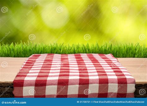 Picnic Table with Cheched Tablecloth Stock Image - Image of green ...