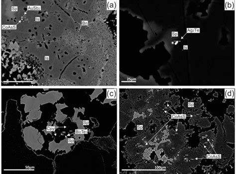 Minerals | Special Issue : Deep-Sea Minerals and Gas Hydrates