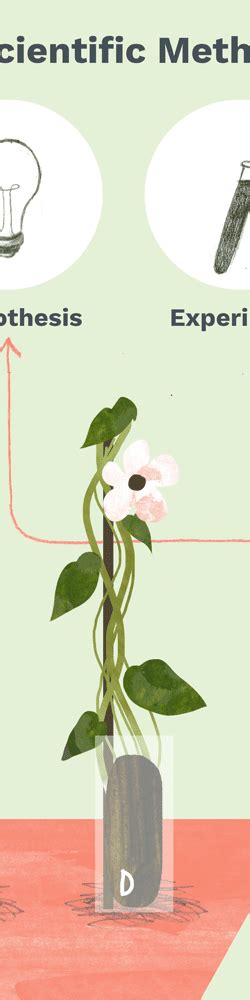 Scientific Method Flow Chart 的图像结果