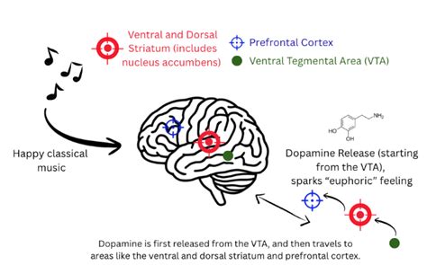 An Analysis of Reward Pathway Engagement While Listening to Happy ...