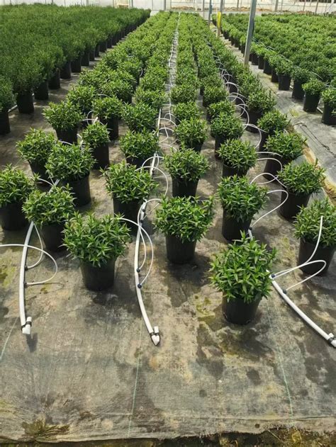 Image result for Drip Irrigation Tools