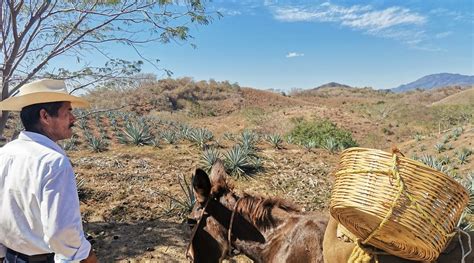 HOTEL POSADA LAS FLORES (Santa Maria Huatulco) - Hotel Reviews & Photos ...
