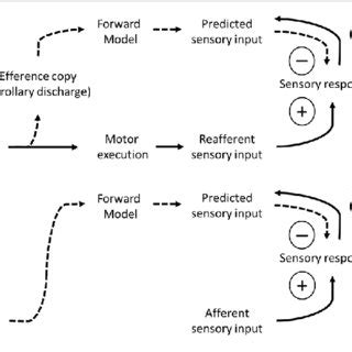 Image result for Coding Based Models