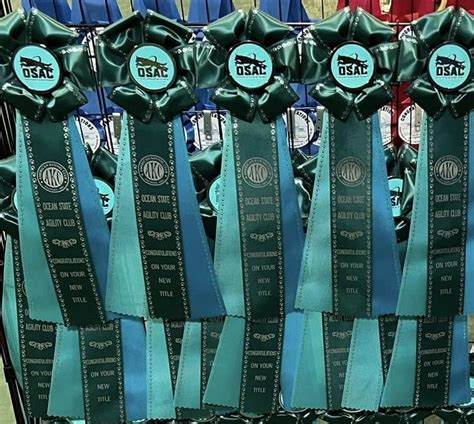 Ocean State Agility Club Trial, Wide World of Indoor Sports, North ...