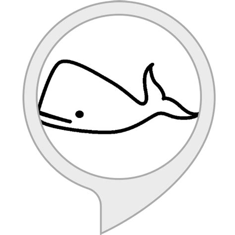 Amazon.in: Unofficial EC2 Container Service Glossary : Alexa Skills