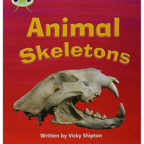 Buy New Phonics Bug and Alphablocks all phases single-titles pack ...