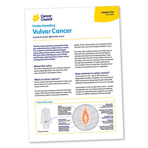 Vulva Cancer Cancerindex - how rare is vulvar cancer