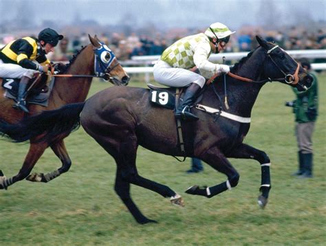 See You Then | Horse & Hound - animals-and-pets - Read this story on ...