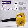 Asian Paints TruCare Hand Held Air Blower, 500W Electric Air Blower for ...