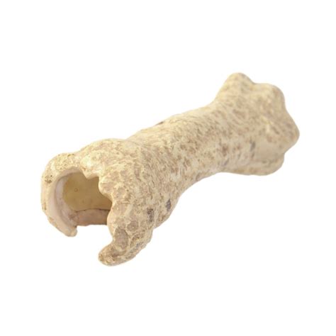 Aquarium Hideout Resin Sculpture Reptile House for Salamanders Cichlid ...