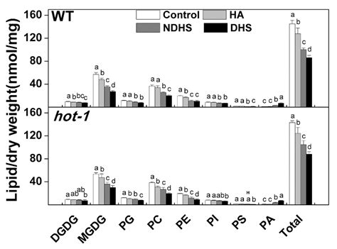 Quantitative Profiling of Arabidopsis Polar Glycerolipids under Two ...
