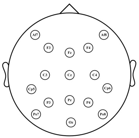 An EEG-Based Person Authentication System with Open-Set Capability ...