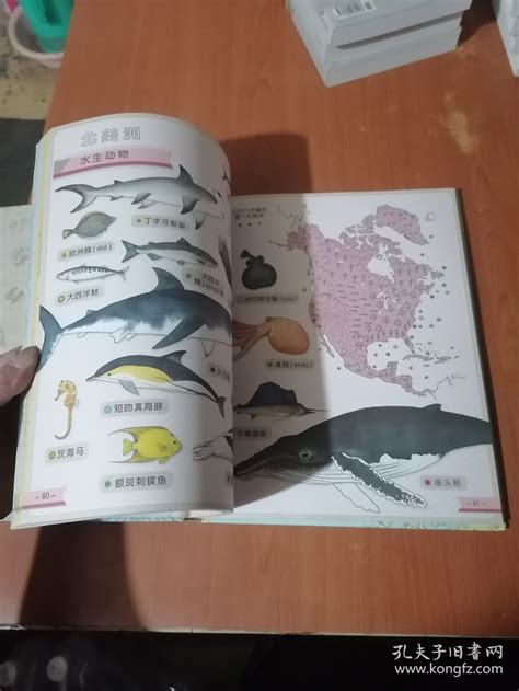 世界动物地图 的图像结果