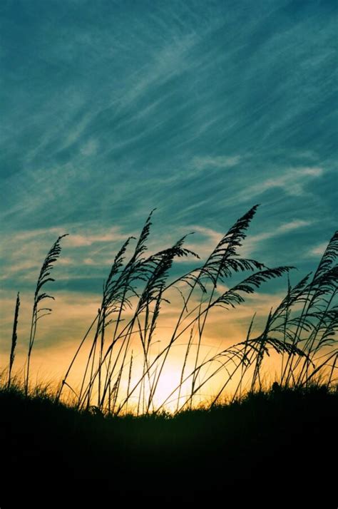 People in Places Photography 的图像结果